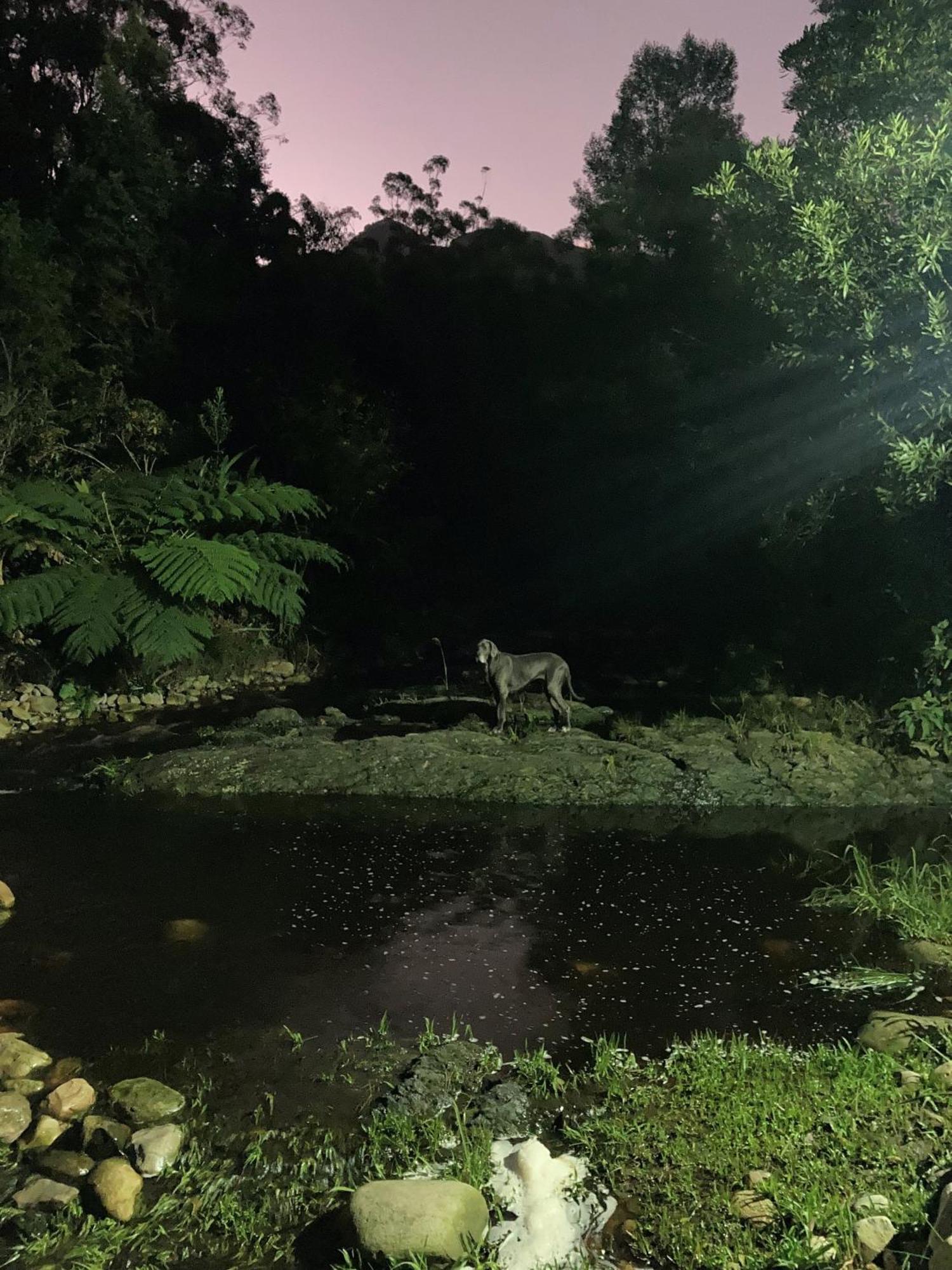 A Riverbed Guesthouse Swellendam Zewnętrze zdjęcie