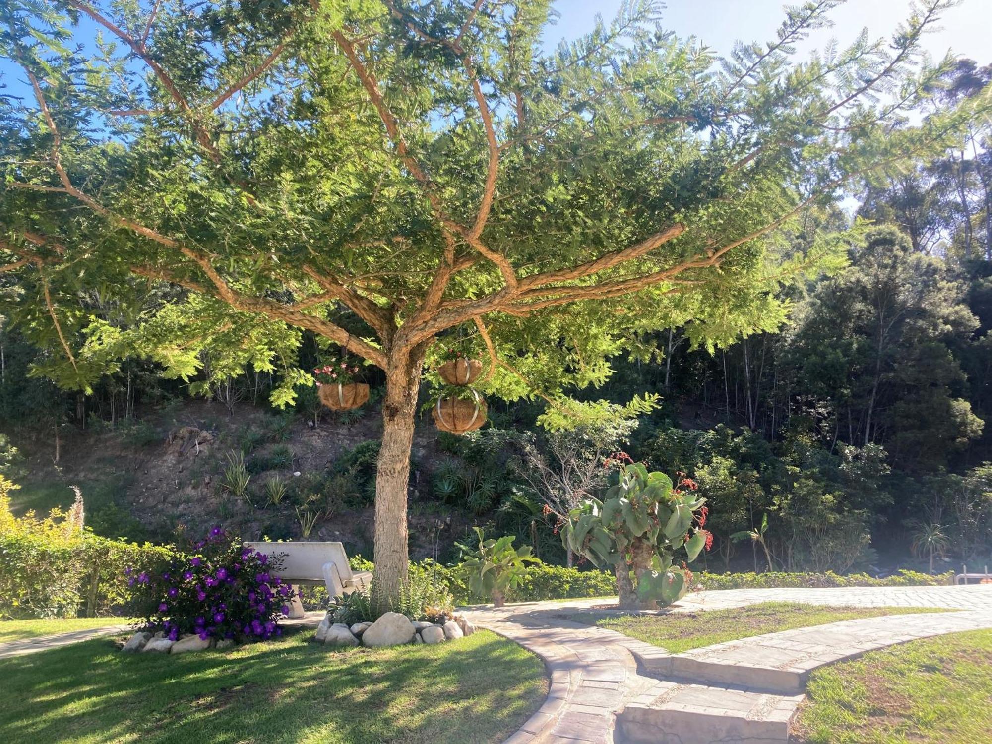 A Riverbed Guesthouse Swellendam Zewnętrze zdjęcie
